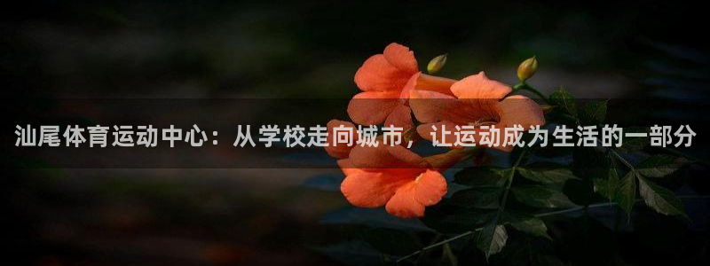 海南MK体育官网下载发展怎么样：汕尾体育运动中心：从