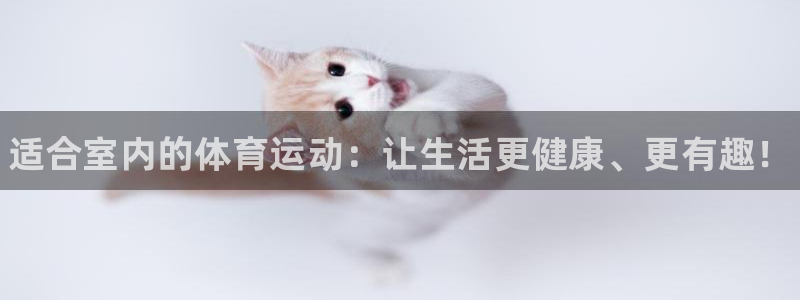 MK体育官网下载平台注册要钱吗安全吗：适合室内的体育