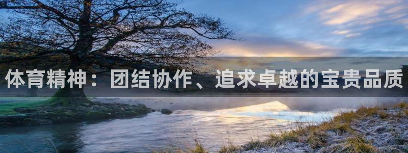 MK体育官网下载招商电话号码是多少：体育精神：团结协