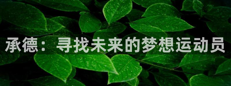 MK体育官方正版app集团