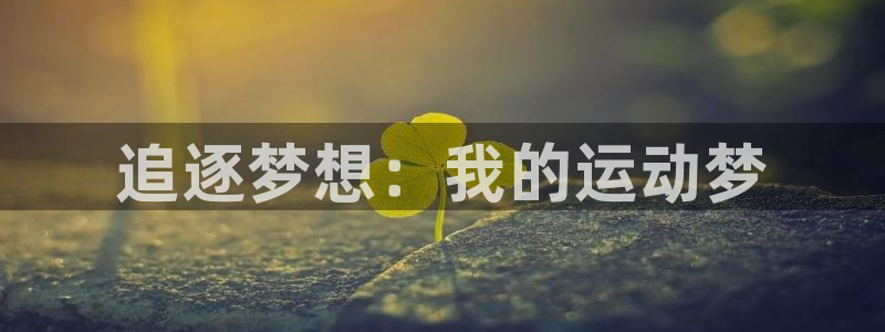 MK体育官方正版app集团logo：追逐梦想：我的运