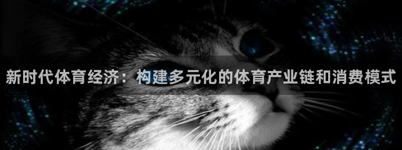 MK体育官方正版app集团：新时代体育经济：构建多元