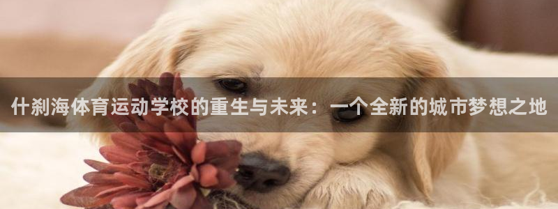 MK体育官网下载招商电话地址查询：什刹海体育运动学校