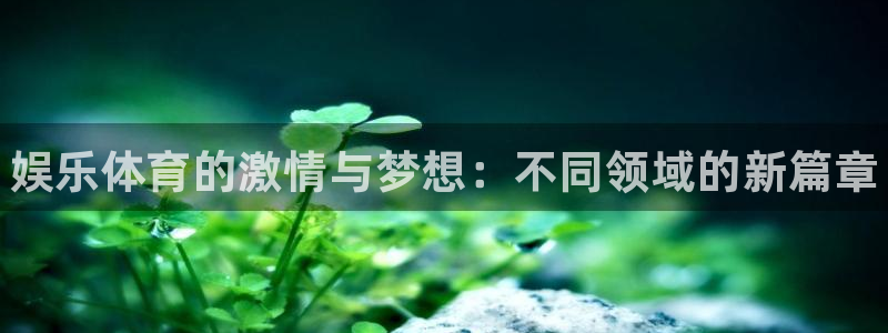 MK体育官方正版app集团logo：娱乐体育的激情与