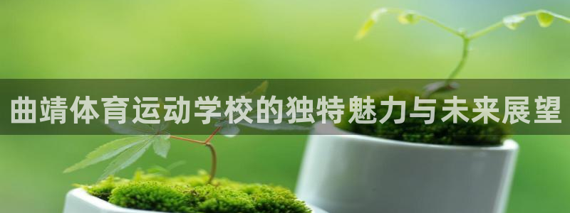 MK体育官网下载平台注册：曲靖体育运动学校的独特魅力