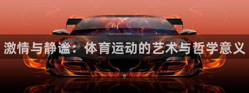 MK体育官网下载娱乐：激情与静谧：体育运动的艺术与哲学意义