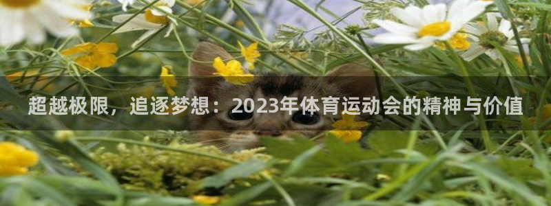 MK体育官方正版app娱乐首页官网下载：超越极限，追