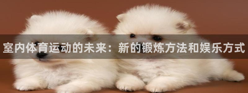 MK体育官方正版app神州：室内体育运动的未来：新的