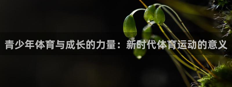 MK体育官方正版app娱乐网站：青少年体育与成长的力