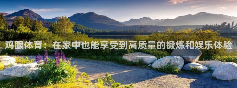 MK体育官方正版app代理：鸡眼体育：在家中也能享受