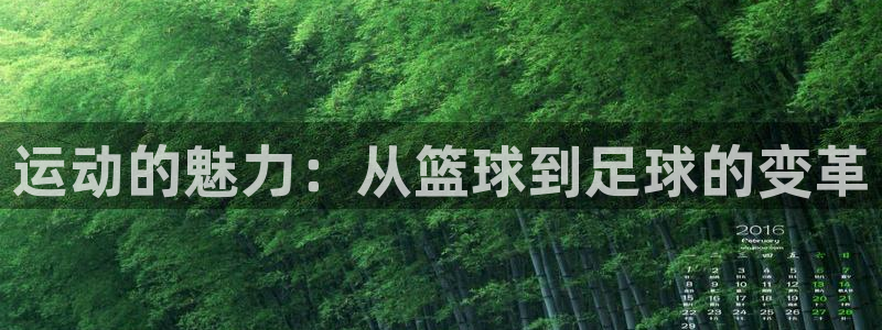 MK体育官方正版app娱乐：运动的魅力：从篮球到足球