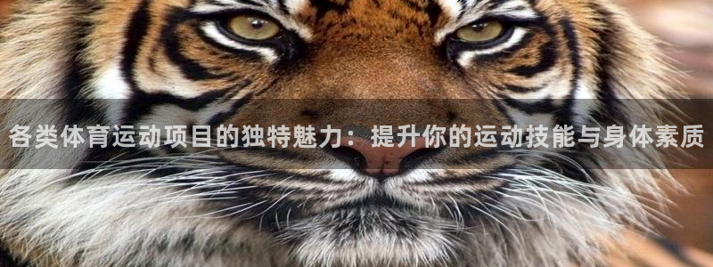 MK体育官方正版app集团E.ON：各类体育运动项目