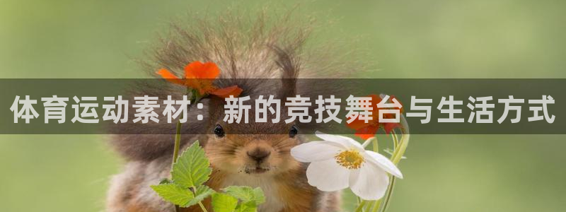 MK体育官方正版app集团：体育运动素材：新的竞技舞台与生活