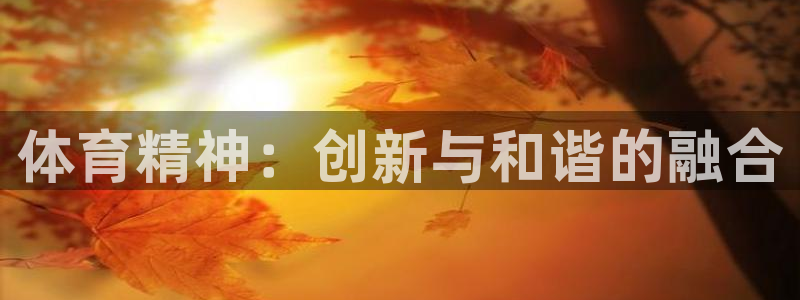 MK体育官方正版app集团E.ON：体育精神：创新与