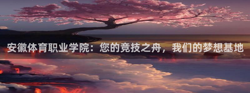 MK体育官方正版app娱乐代理怎么样：安徽体育职业学