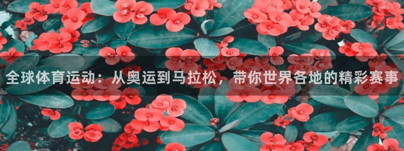 MK体育官方正版app娱乐网站：全球体育运动：从奥运到马拉松